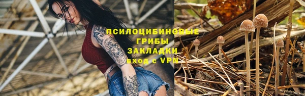 гашик Алексеевка