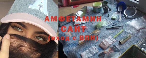 гашик Алексеевка