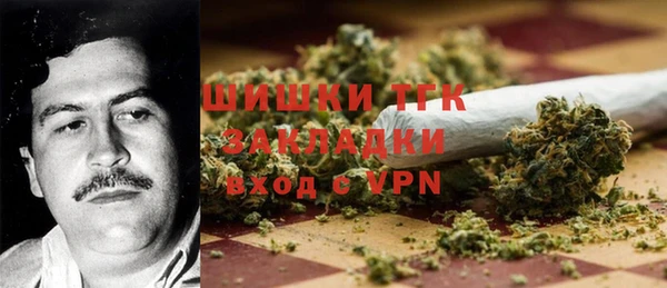 гашик Алексеевка
