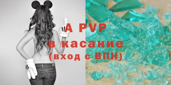 прущие грибы Елизово