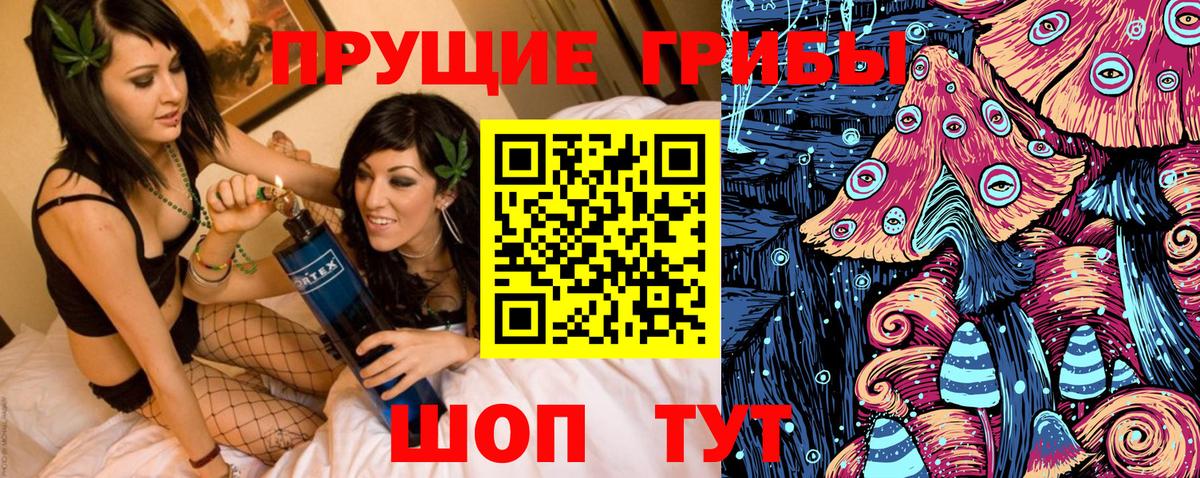 Галлюциногенные грибы Psilocybe  Вход с VPN  Тара  Галлюциногенные грибы Psilocybe 