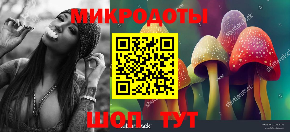Галлюциногенные грибы Psilocybe Тара