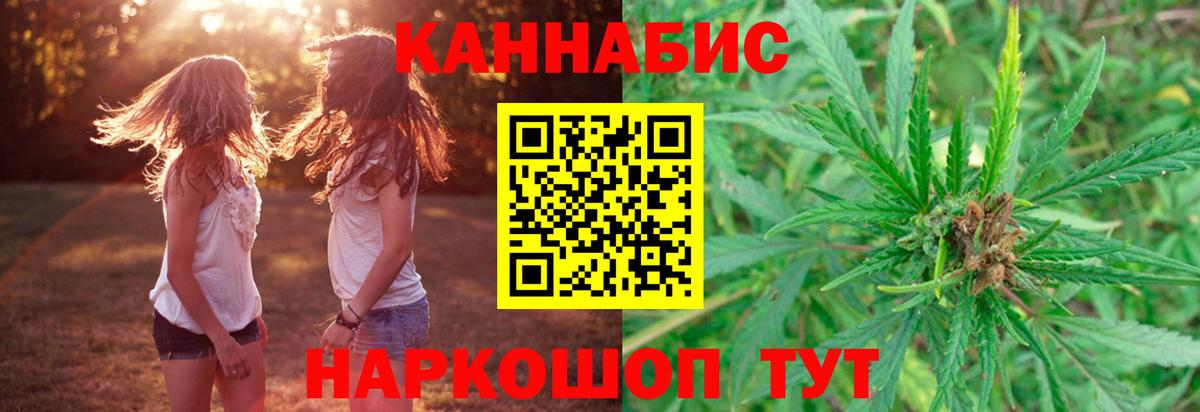 Бошки Шишки семена Тара